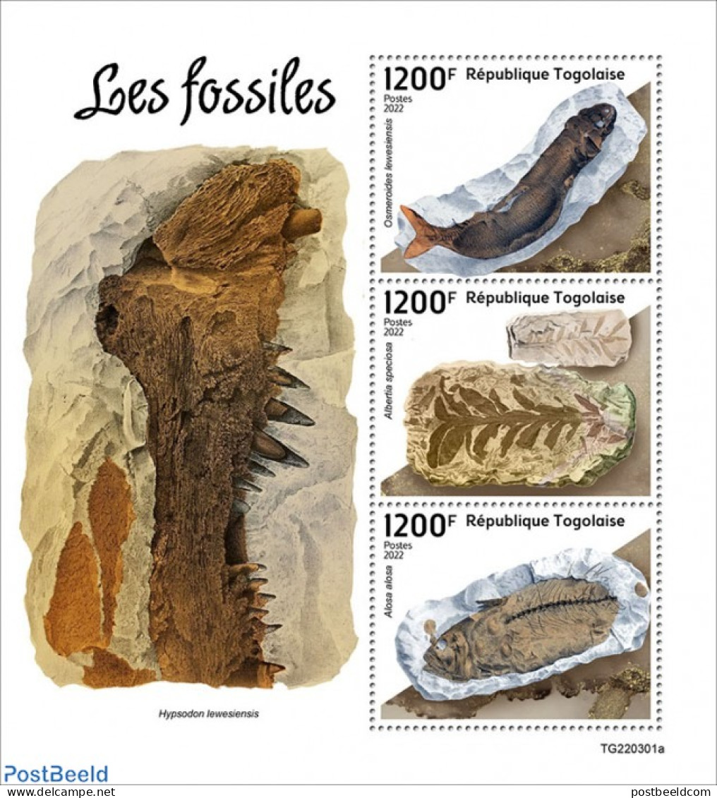 Togo 2022 Fossils, Mint NH, Nature - Prehistoric Animals - Prehistory - Préhistoriques