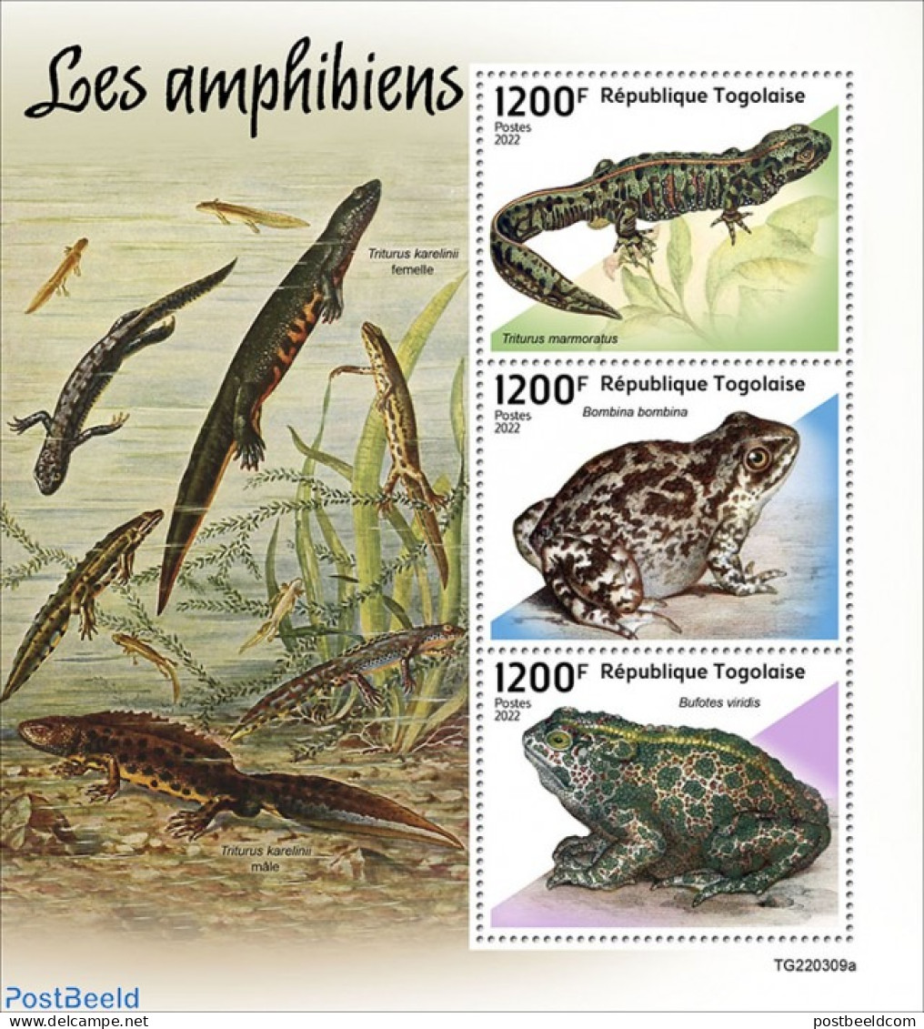 Togo 2022 Amphibians, Mint NH, Nature - Animals (others & Mixed) - Frogs & Toads - Togo (1960-...)