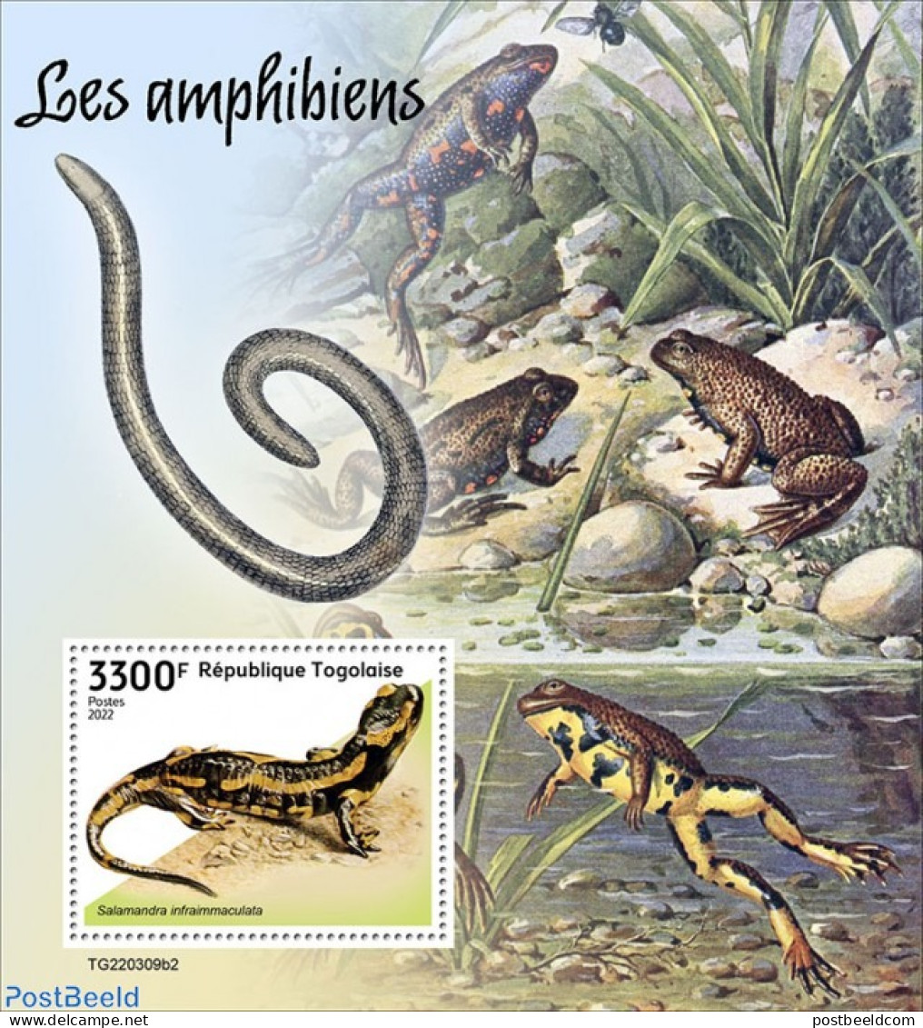 Togo 2022 Amphibians, Mint NH, Nature - Animals (others & Mixed) - Togo (1960-...)