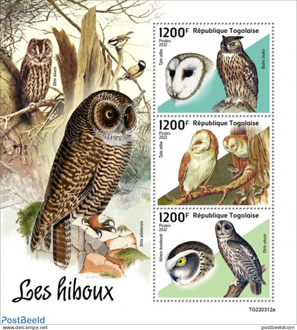 Togo 2022 Owls, Mint NH, Nature - Birds - Birds Of Prey - Owls - Togo (1960-...)