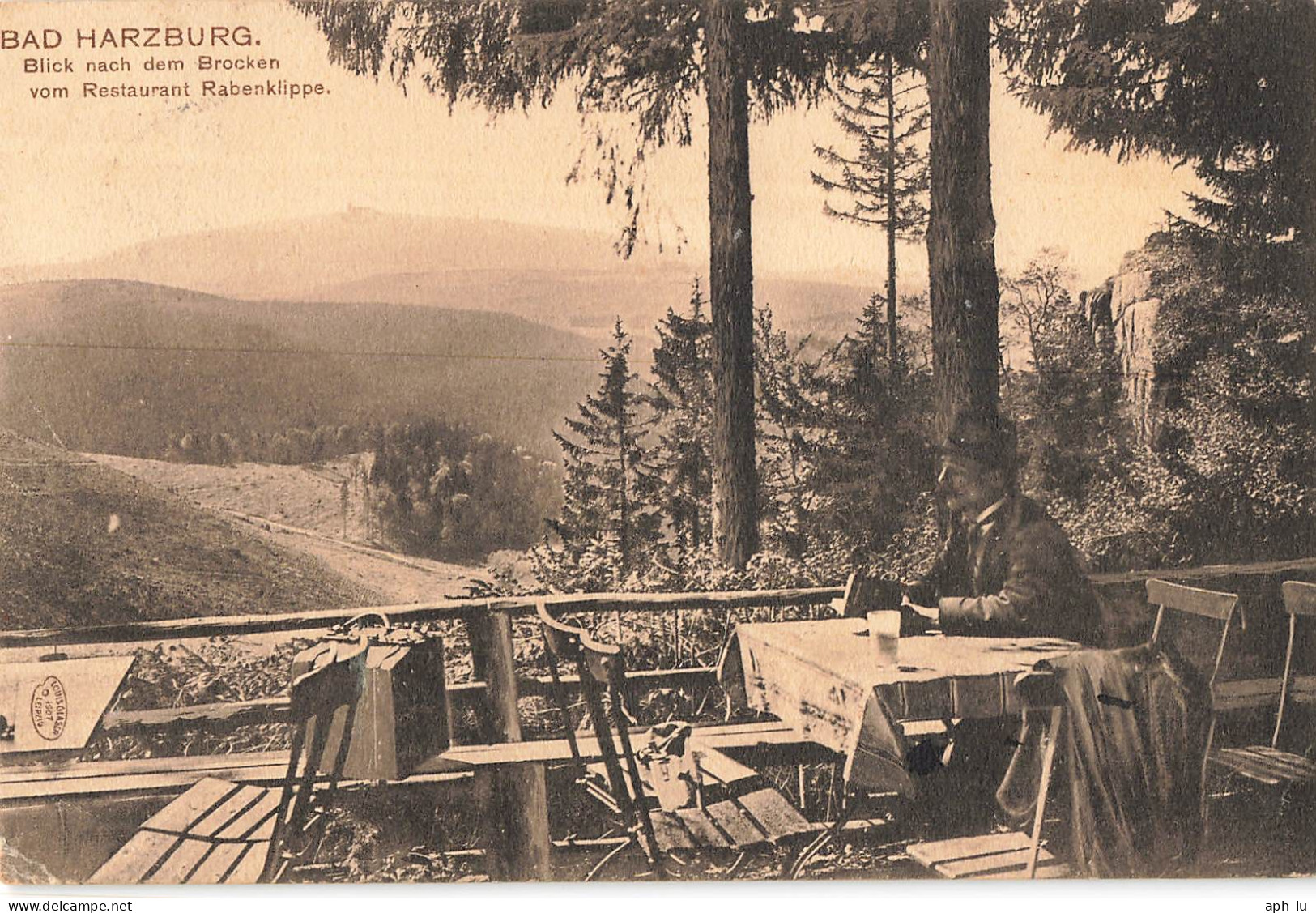 Bahnpost (Ambulant; R.P.O./T.P.O.) Braunschweig-Harzburg (ZA2496) - Cartas & Documentos