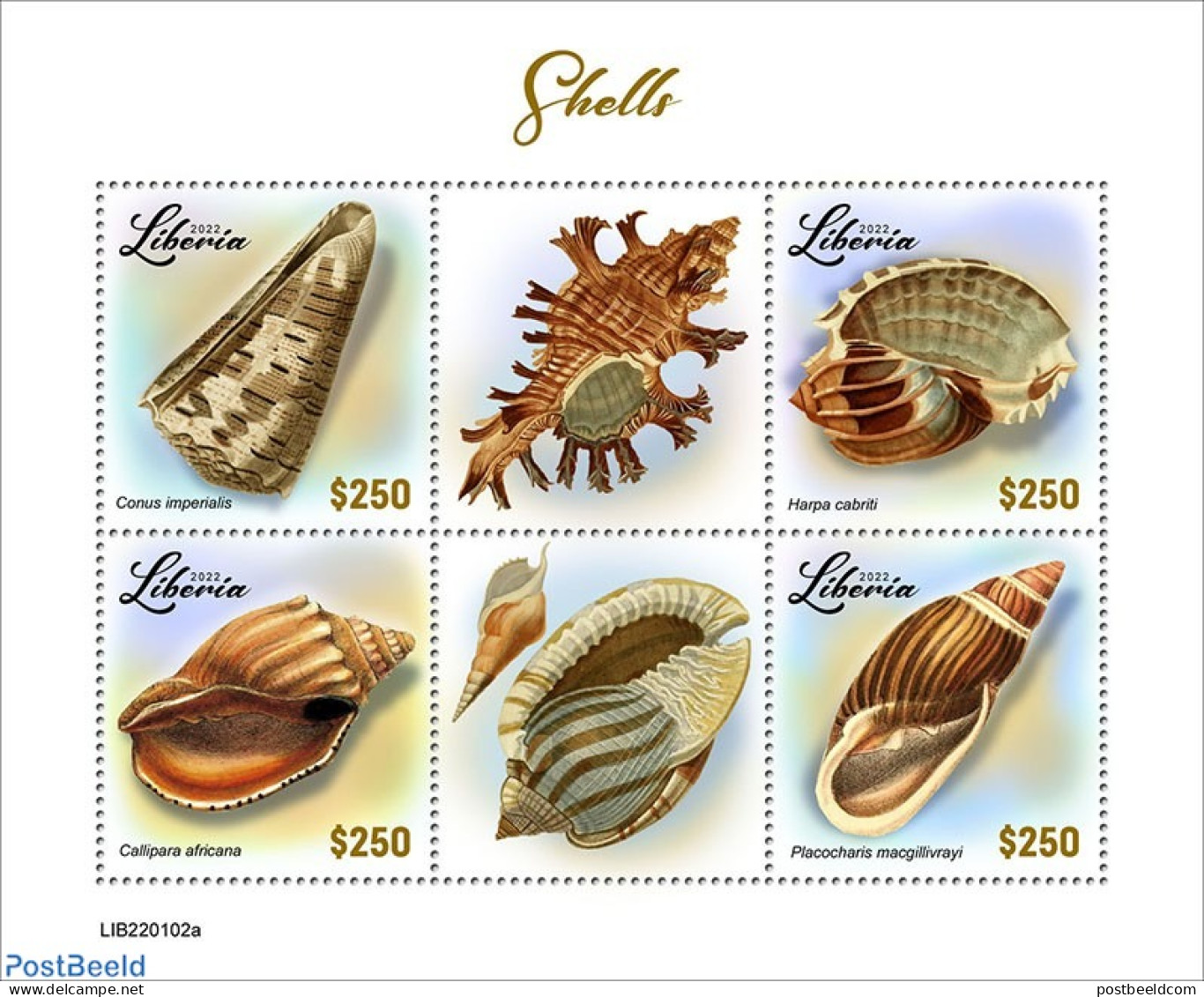 Liberia 2022 Shells, Mint NH, Nature - Shells & Crustaceans - Marine Life