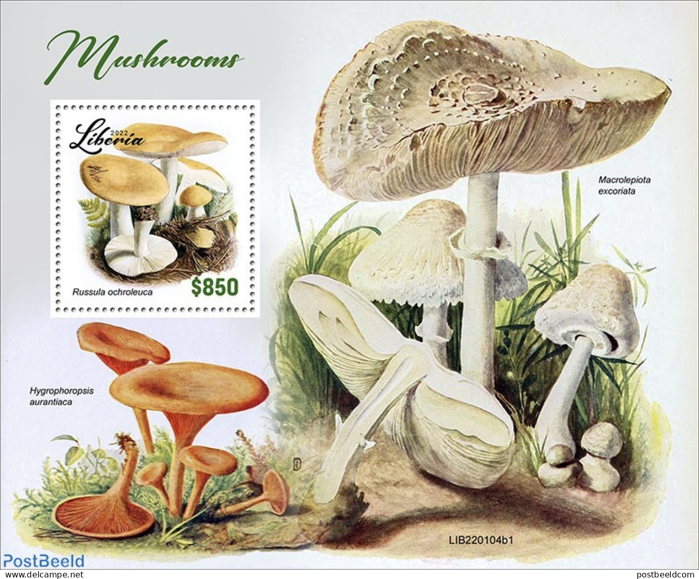 Liberia 2022 Mushrooms, Mint NH, Nature - Mushrooms - Champignons