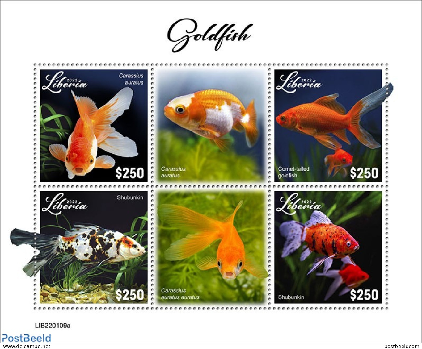 Liberia 2022 Goldfish, Mint NH, Nature - Fish - Peces
