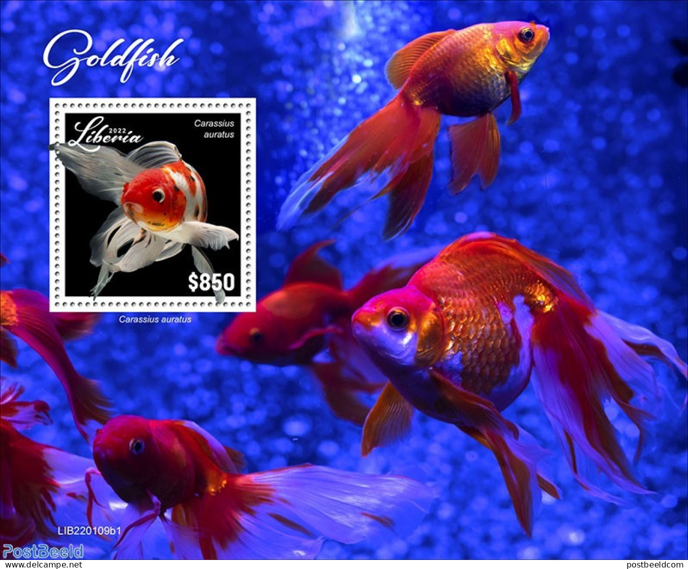 Liberia 2022 Goldfish, Mint NH, Nature - Fish - Peces