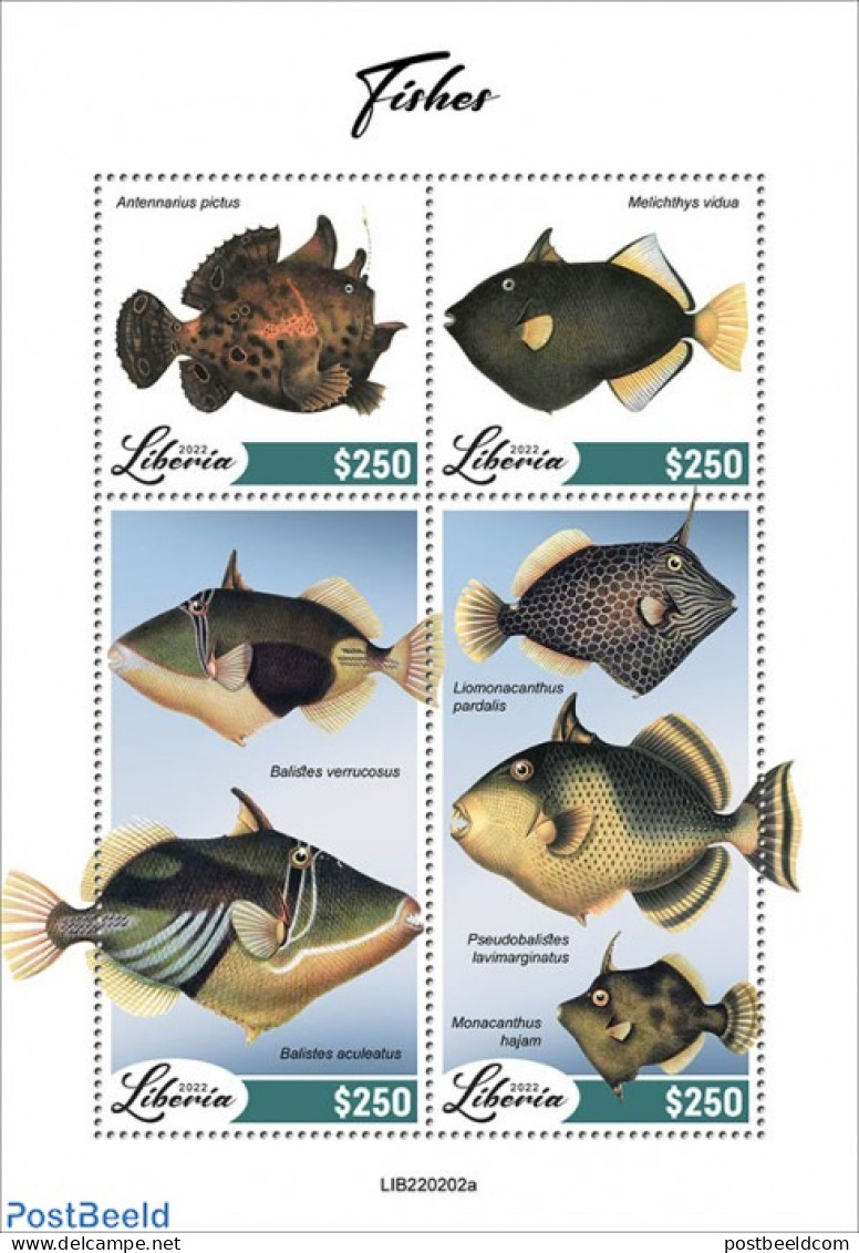 Liberia 2022 Fishes, Mint NH, Nature - Fish - Peces
