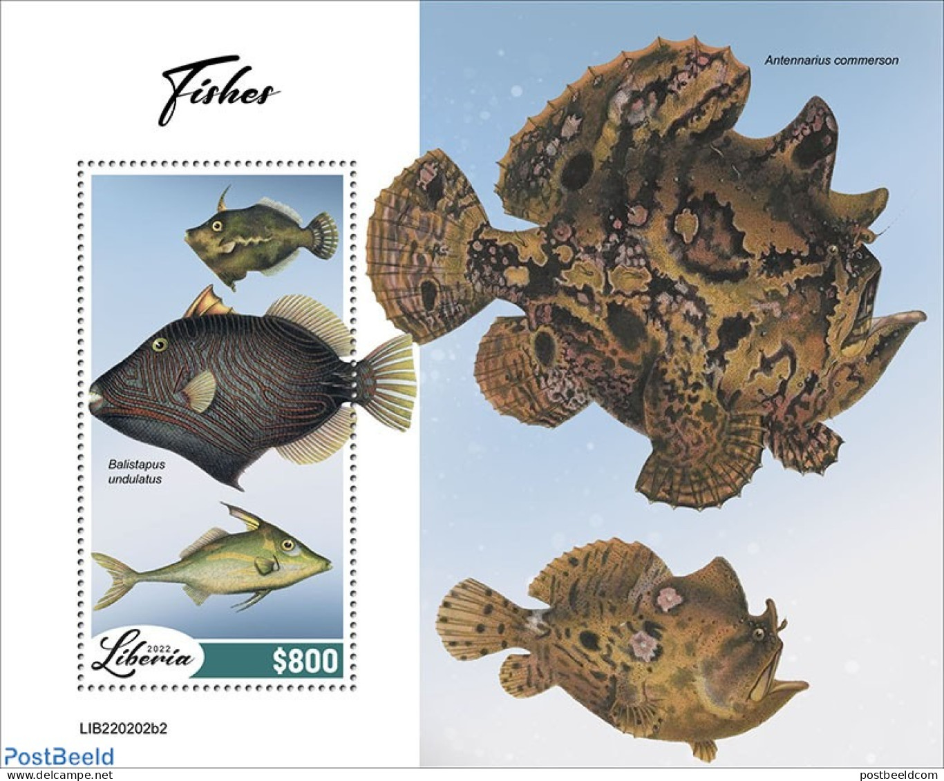 Liberia 2022 Fishes, Mint NH, Nature - Fish - Fische