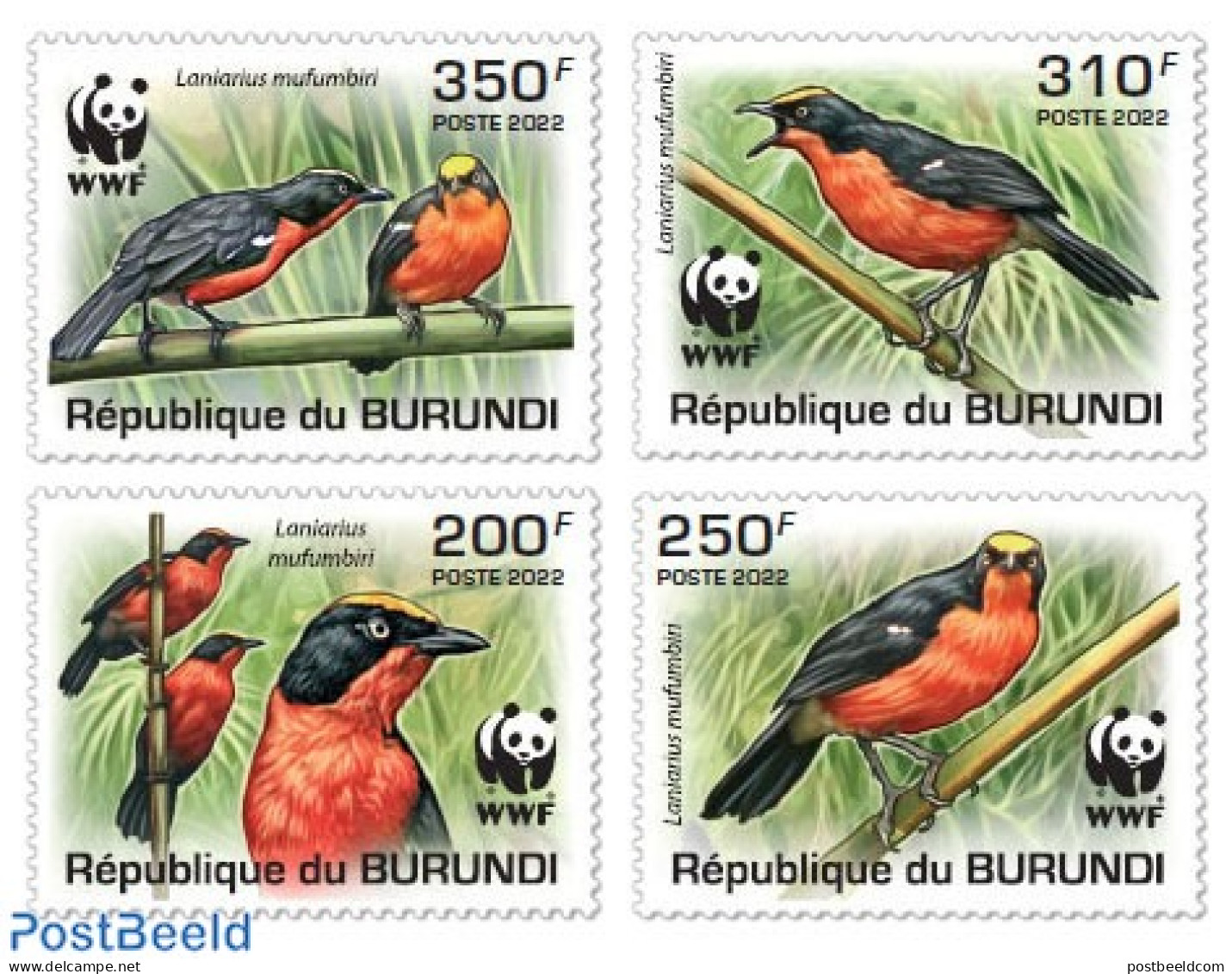 Burundi 2022 WWF Papyrus Gonolek, Mint NH, Nature - Birds - World Wildlife Fund (WWF) - Other & Unclassified