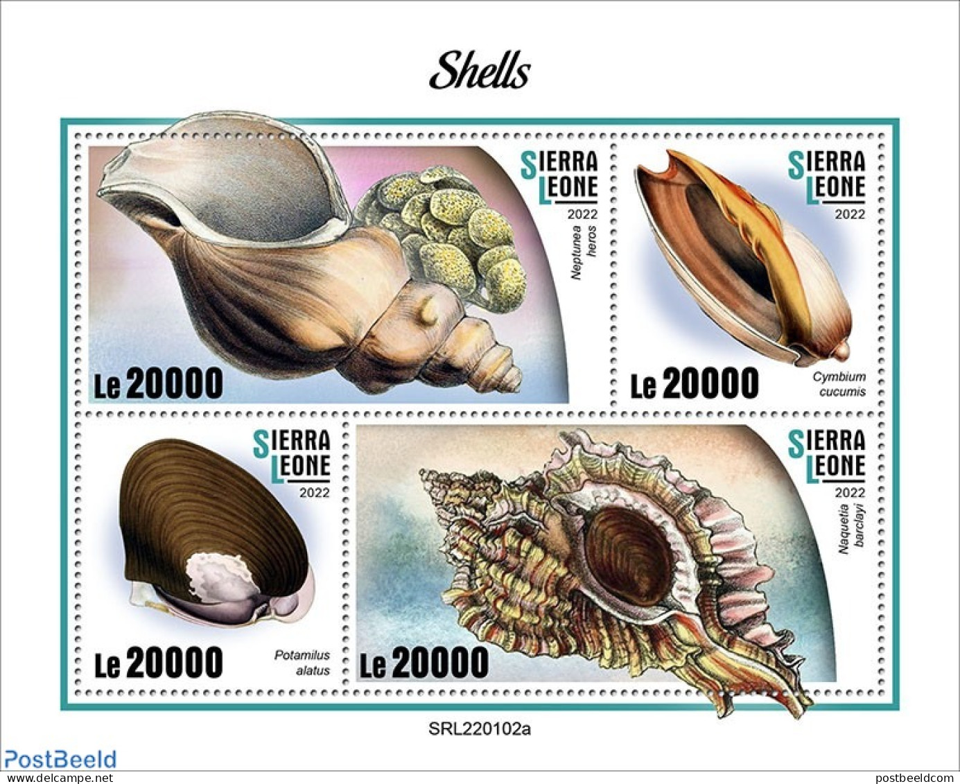 Sierra Leone 2022 Shells, Mint NH, Nature - Shells & Crustaceans - Vita Acquatica