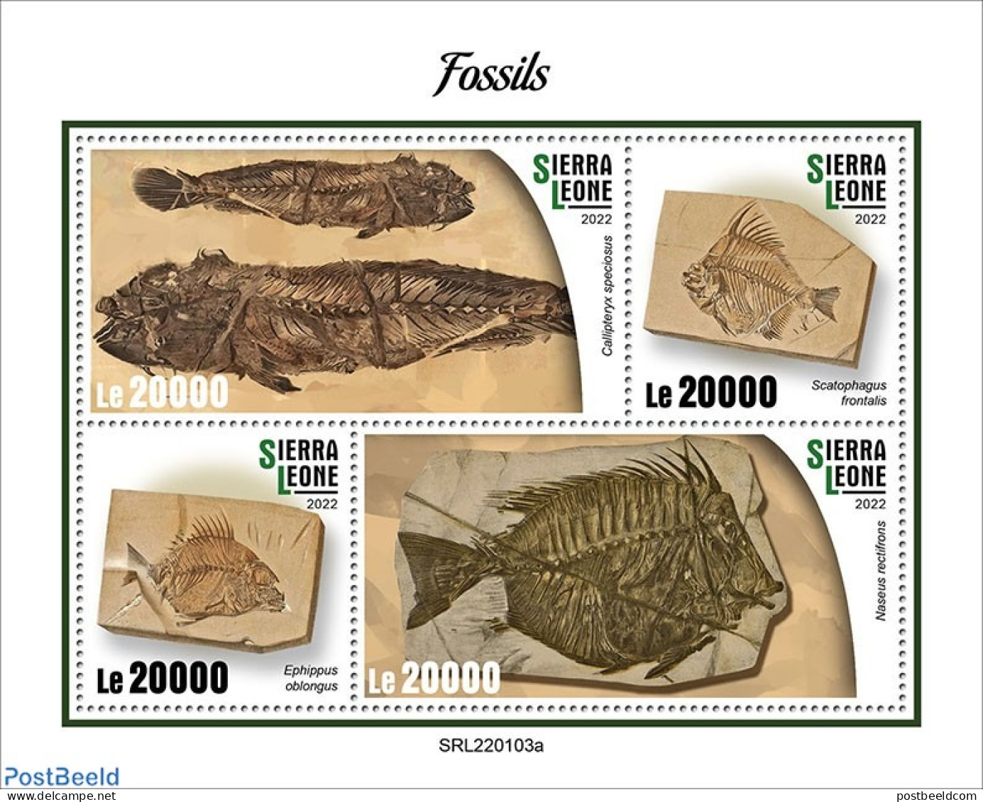 Sierra Leone 2022 Fossils, Mint NH, Nature - Fish - Prehistoric Animals - Peces