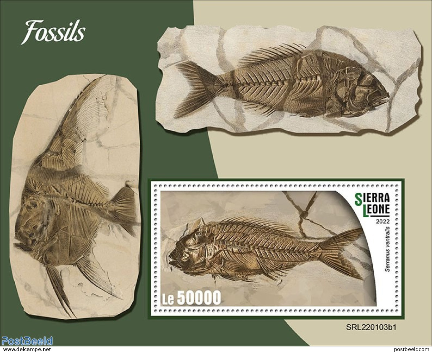 Sierra Leone 2022 Fossils, Mint NH, Nature - Fish - Prehistoric Animals - Vissen