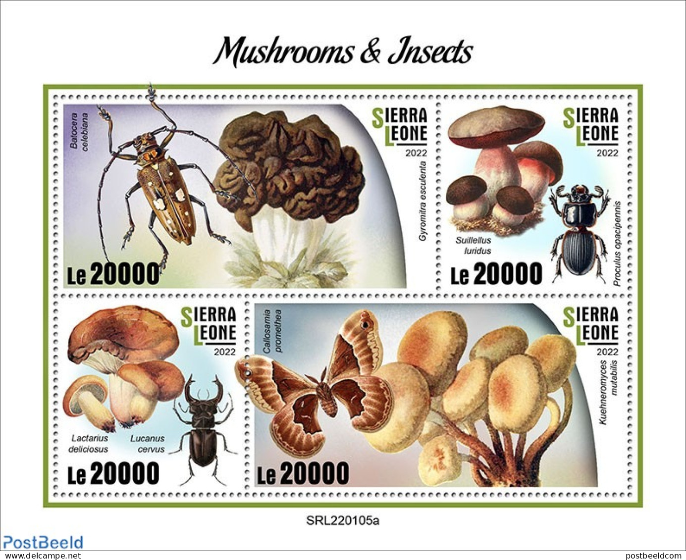 Sierra Leone 2022 Mushrooms And Insects, Mint NH, Nature - Insects - Mushrooms - Pilze