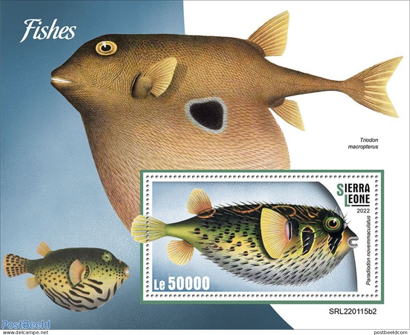 Sierra Leone 2022 Fishes, Mint NH, Nature - Fish - Peces