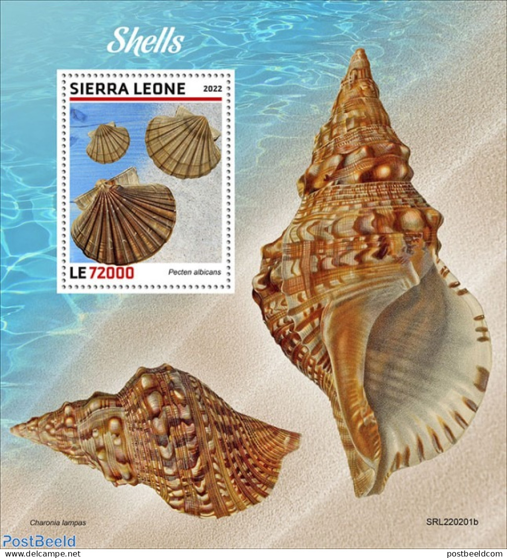 Sierra Leone 2022 Shells, Mint NH, Nature - Shells & Crustaceans - Vita Acquatica