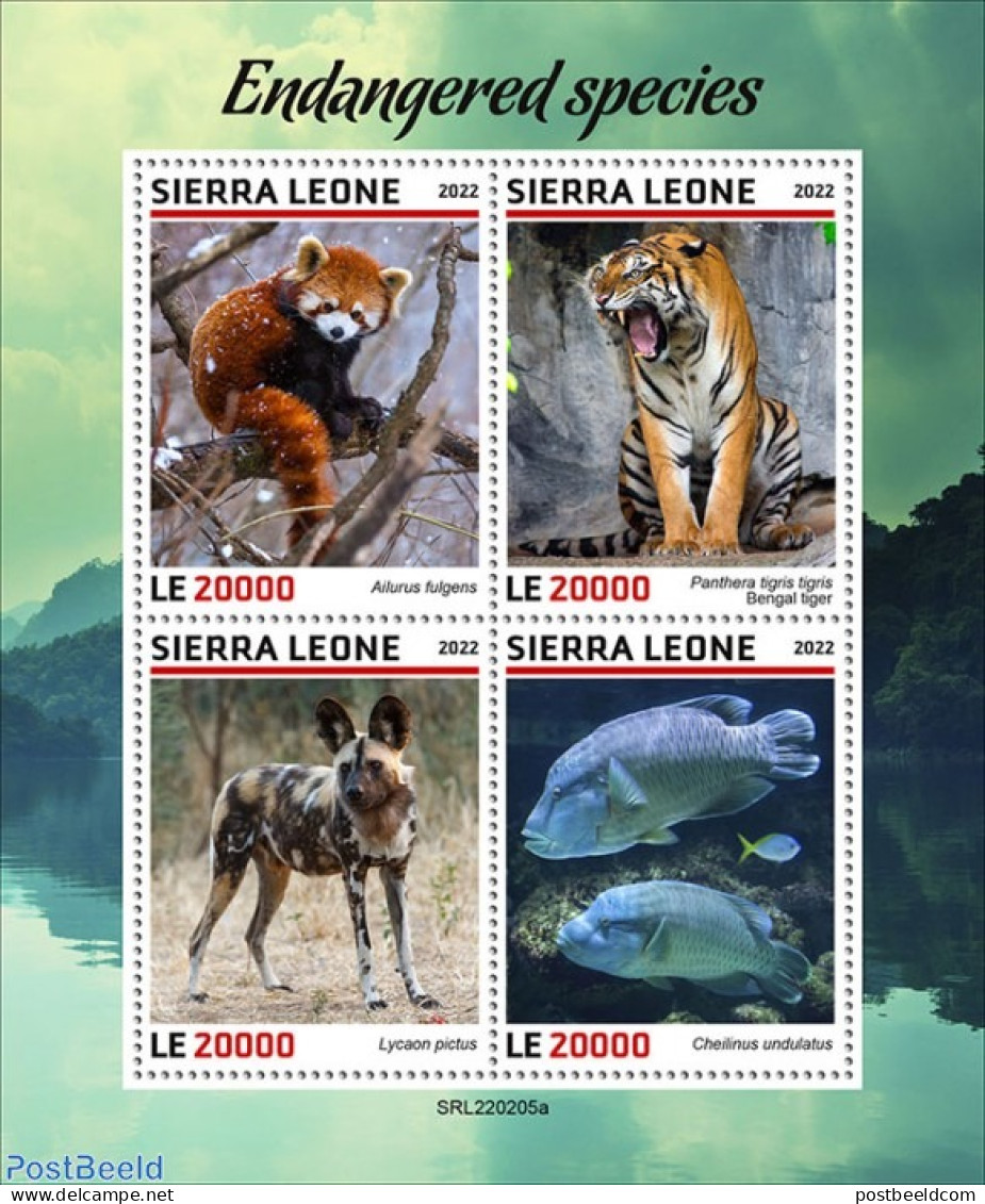 Sierra Leone 2022 Endangered Species , Mint NH, Nature - Animals (others & Mixed) - Cat Family - Fish - Peces