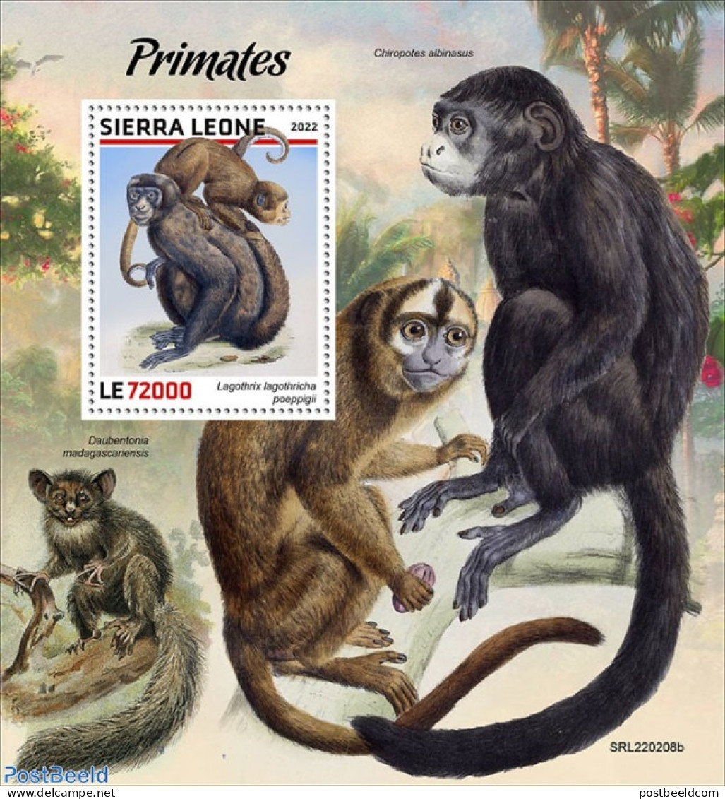 Sierra Leone 2022 Primates, Mint NH, Nature - Monkeys - Autres & Non Classés
