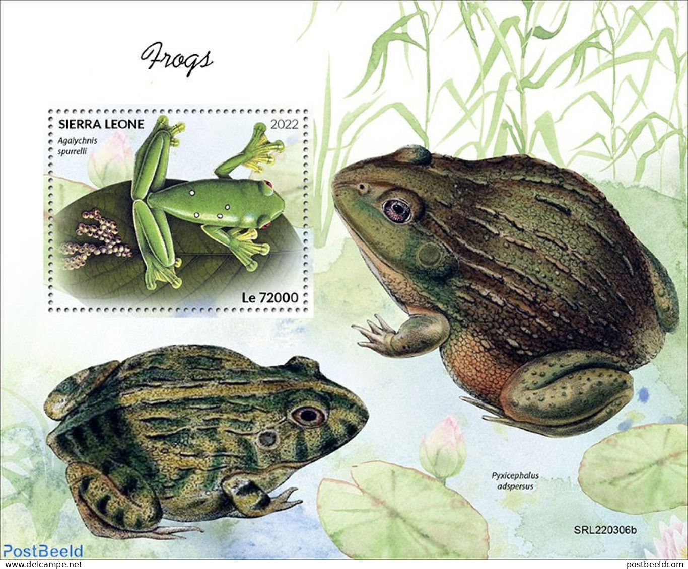Sierra Leone 2022 Frogs, Mint NH, Nature - Frogs & Toads - Autres & Non Classés
