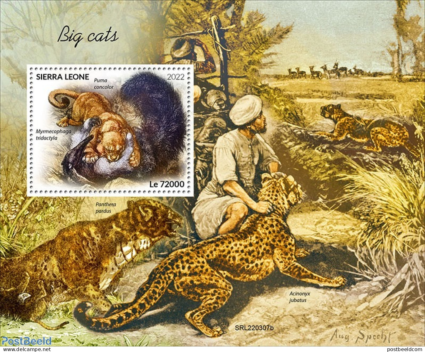 Sierra Leone 2022 Big Cats, Mint NH, Nature - Cat Family - Autres & Non Classés