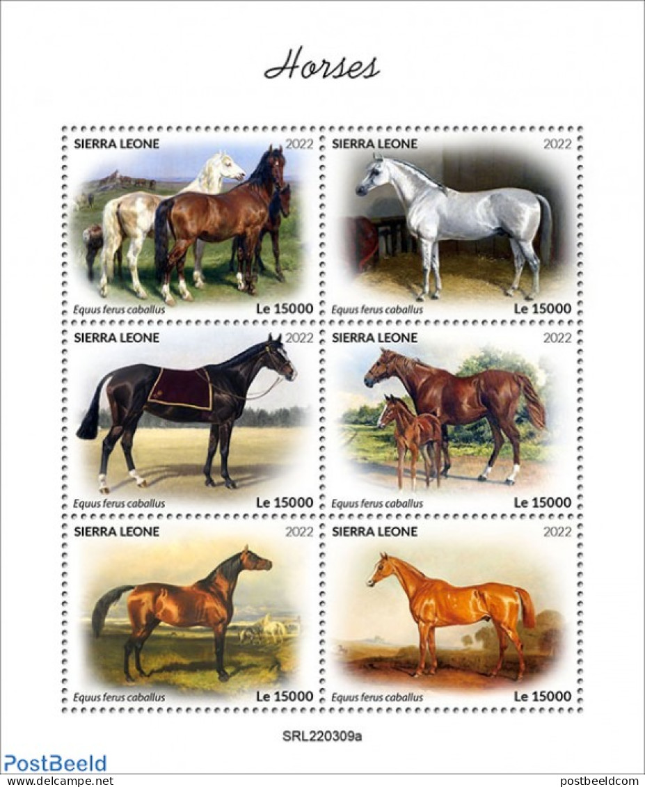 Sierra Leone 2022 Horses, Mint NH, Nature - Horses - Autres & Non Classés