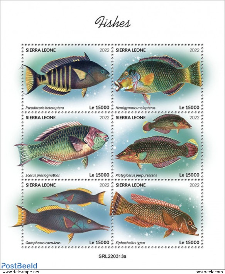 Sierra Leone 2022 Fishes, Mint NH, Nature - Fish - Fische