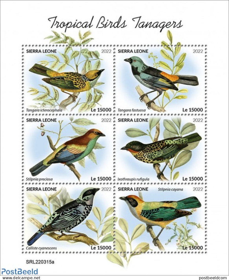 Sierra Leone 2022 Tropical Birds Tanagers, Mint NH, Nature - Birds - Autres & Non Classés