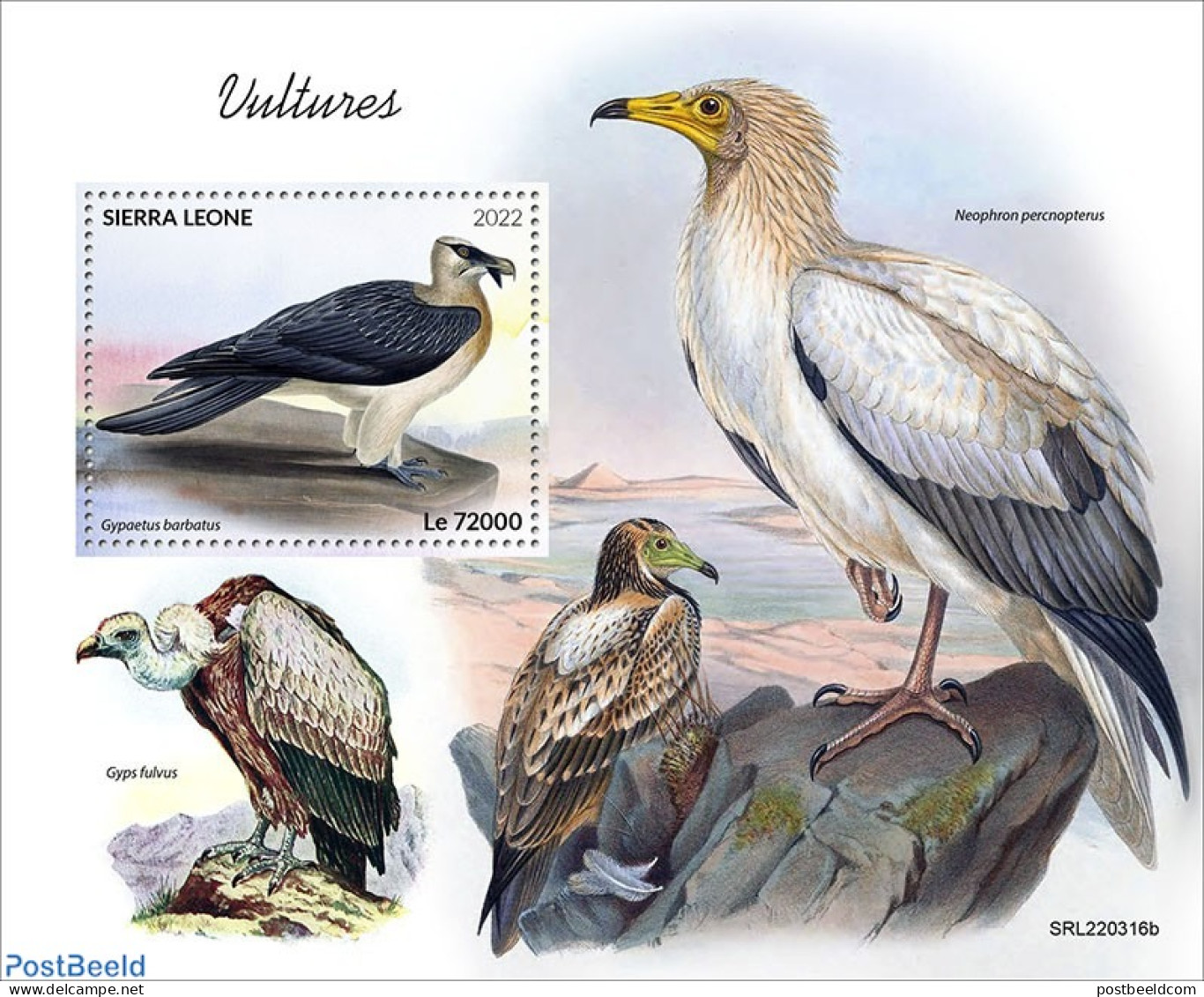 Sierra Leone 2022 Vultures, Mint NH, Nature - Birds Of Prey - Autres & Non Classés