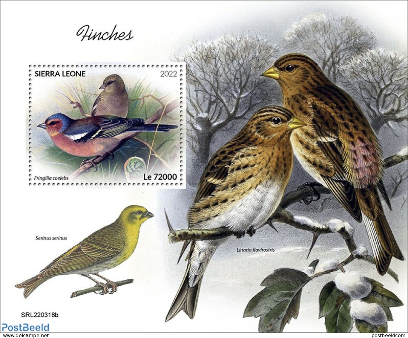 Sierra Leone 2022 Finches, Mint NH, Nature - Birds - Autres & Non Classés