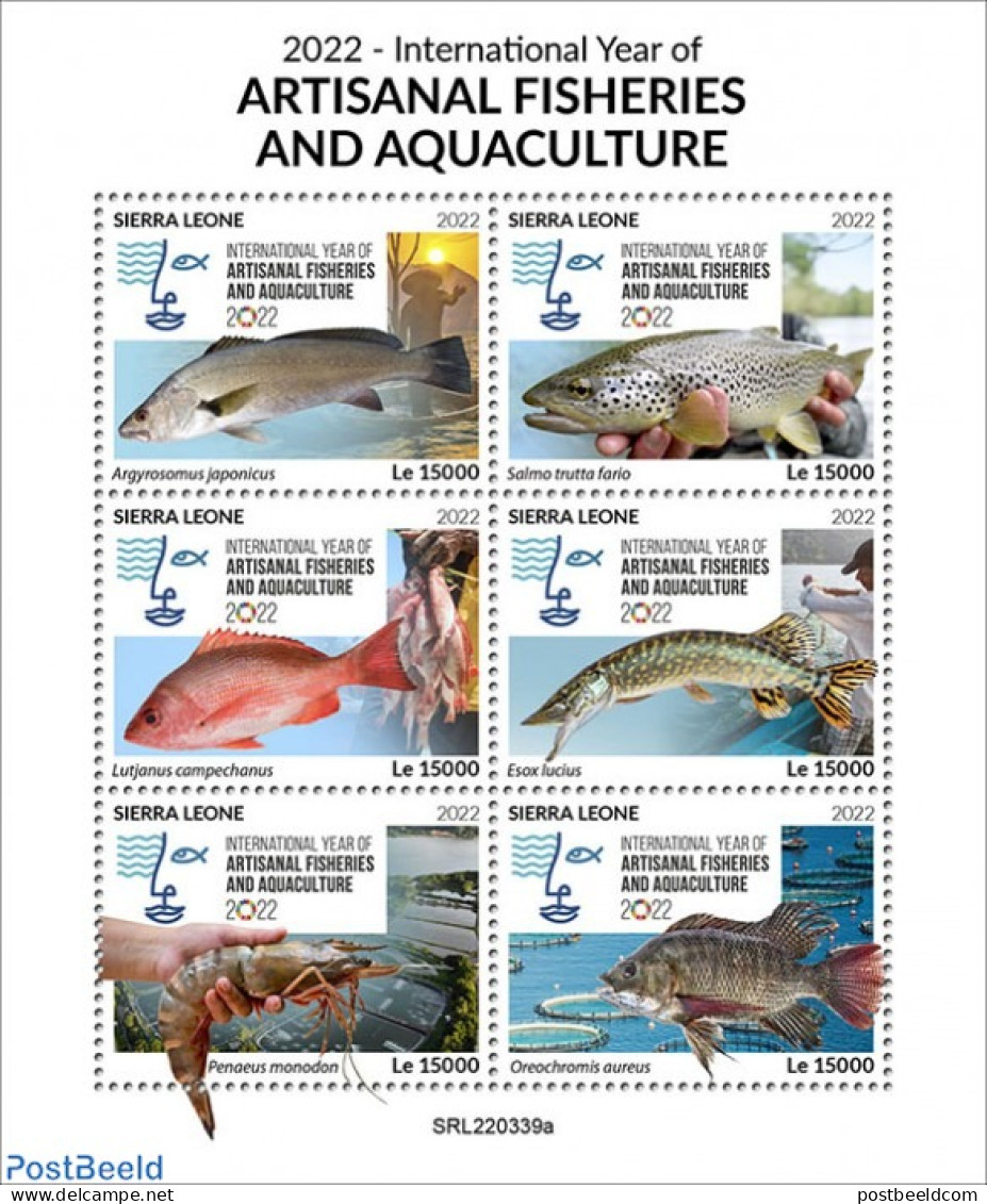 Sierra Leone 2022 2022 International Year Of Artisanal Fisheries And Aquaculture, Mint NH, Nature - Fish - Fishing - Peces