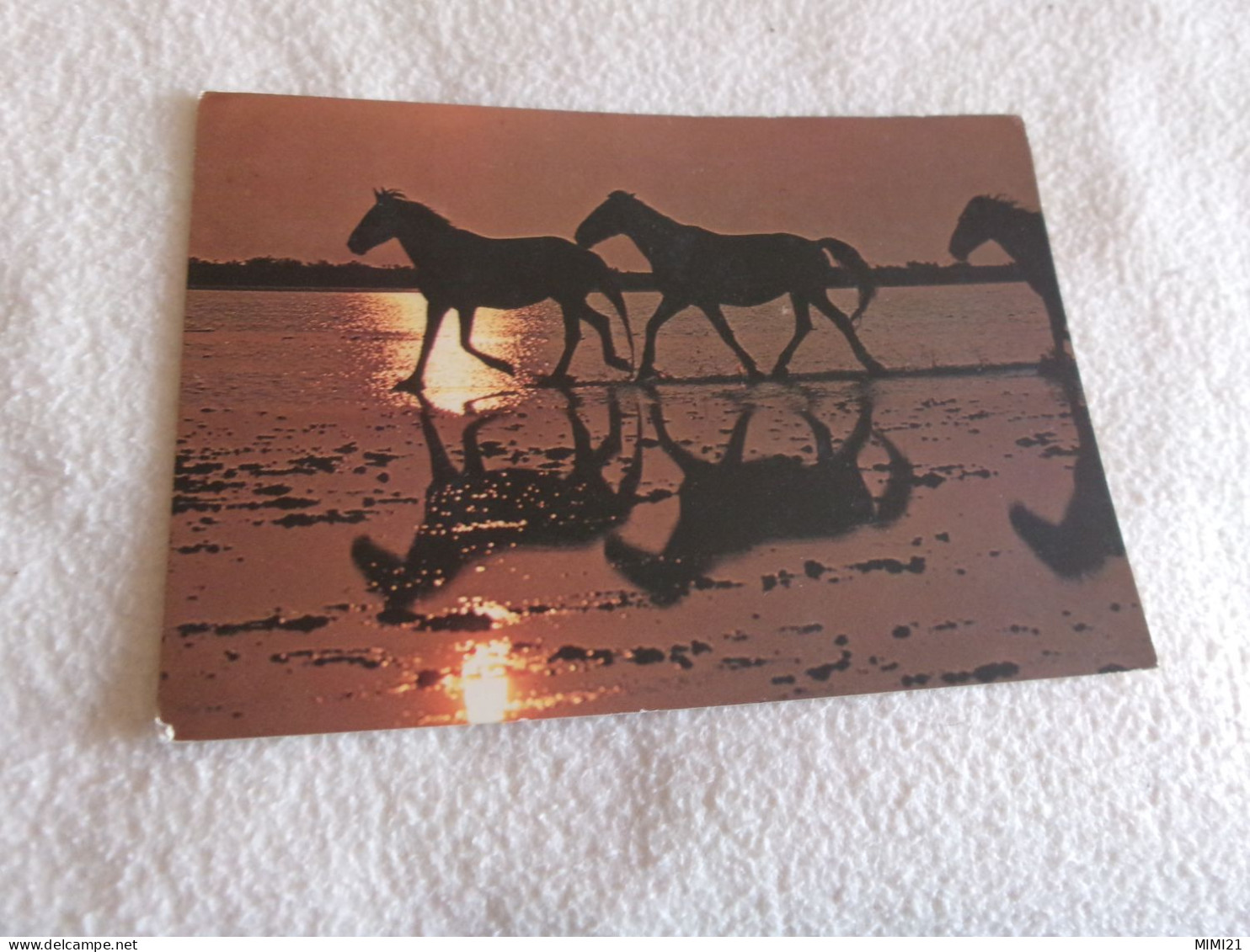 BELLE CARTE "CHEVAUX AU COUCHER DU SOLEIL"...FLAMME STES MARIES 1985 - Pferde