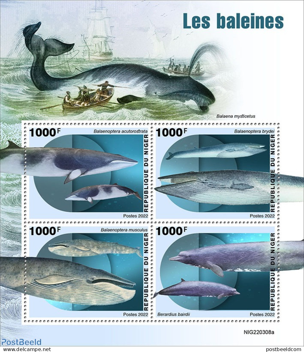 Niger 2022 Whales, Mint NH, Nature - Sea Mammals - Níger (1960-...)