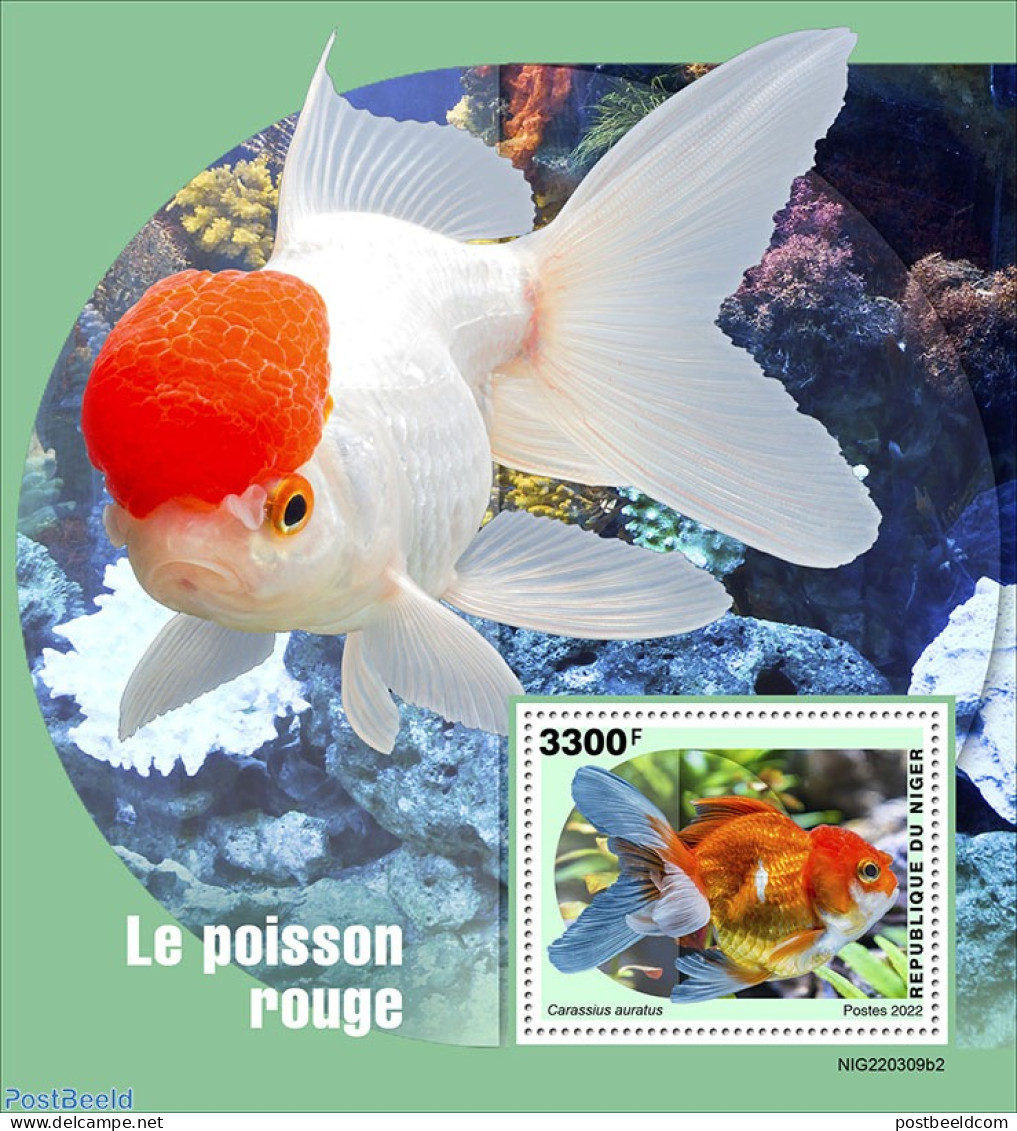 Niger 2022 Goldfish, Mint NH, Nature - Fish - Vissen