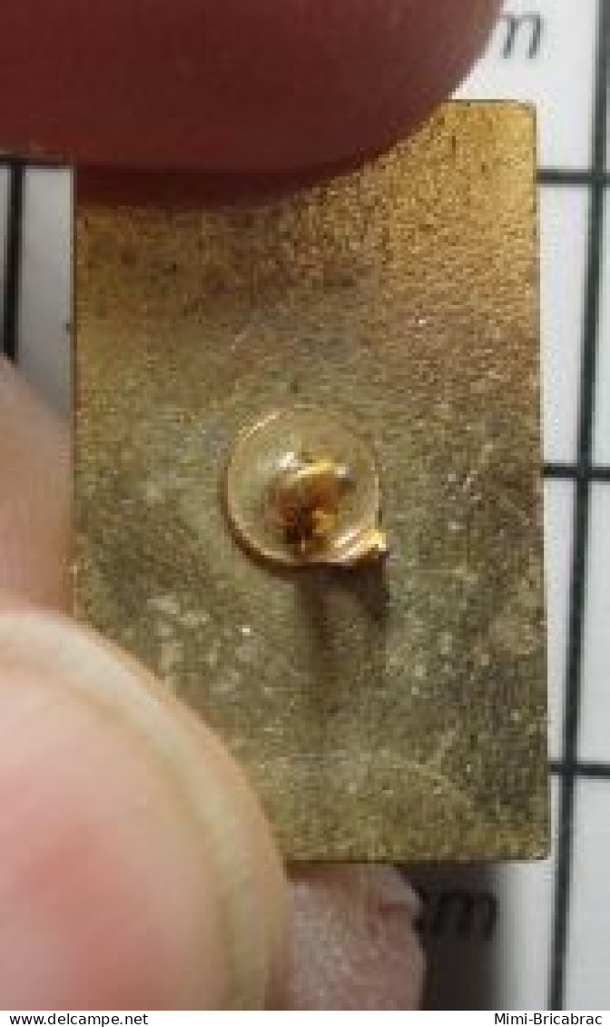 3417 Pin's Pins / Beau Et Rare / MARQUES / EURO CROISSANT - Merken