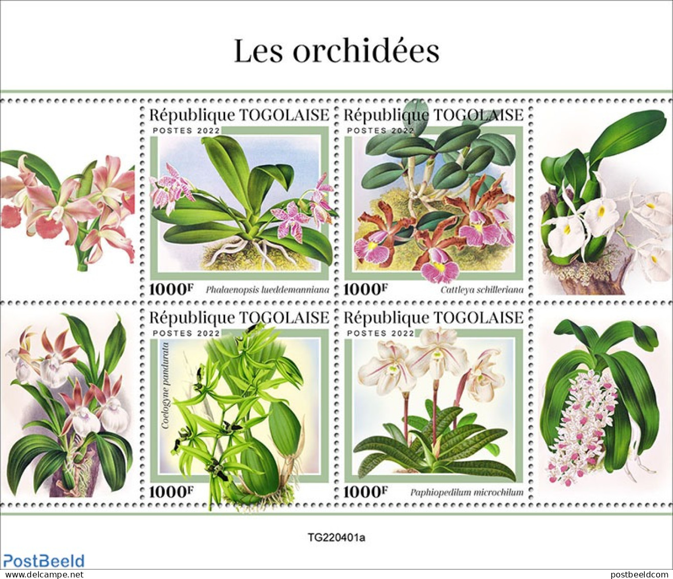 Togo 2022 Orchids, Mint NH, Nature - Flowers & Plants - Orchids - Togo (1960-...)