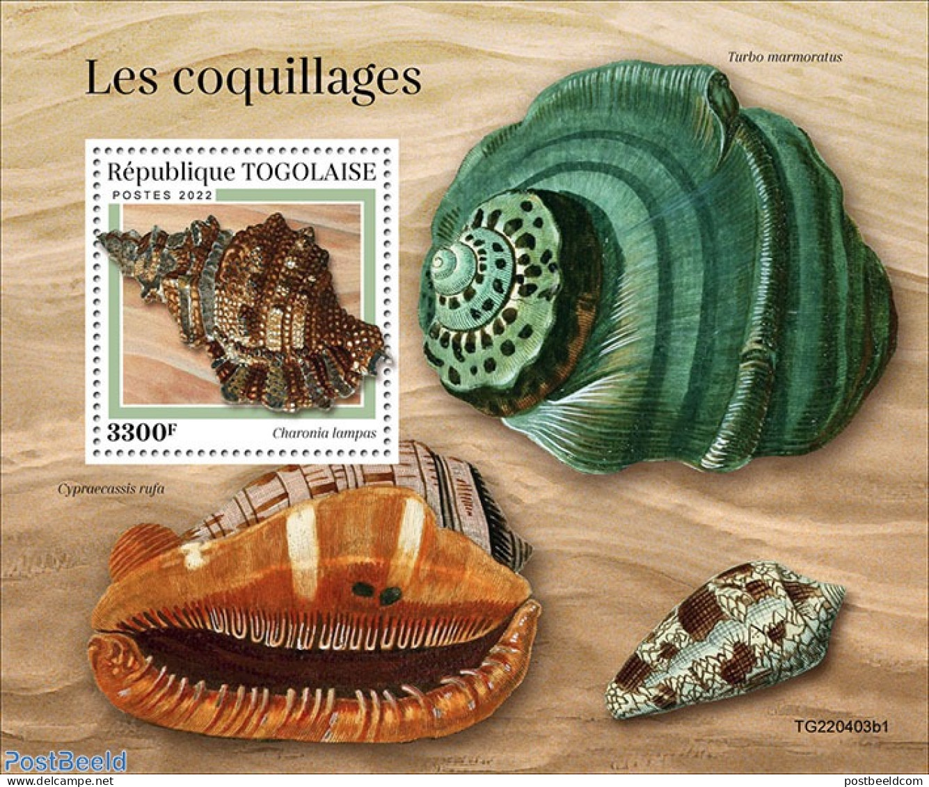 Togo 2022 Shells, Mint NH, Nature - Shells & Crustaceans - Meereswelt