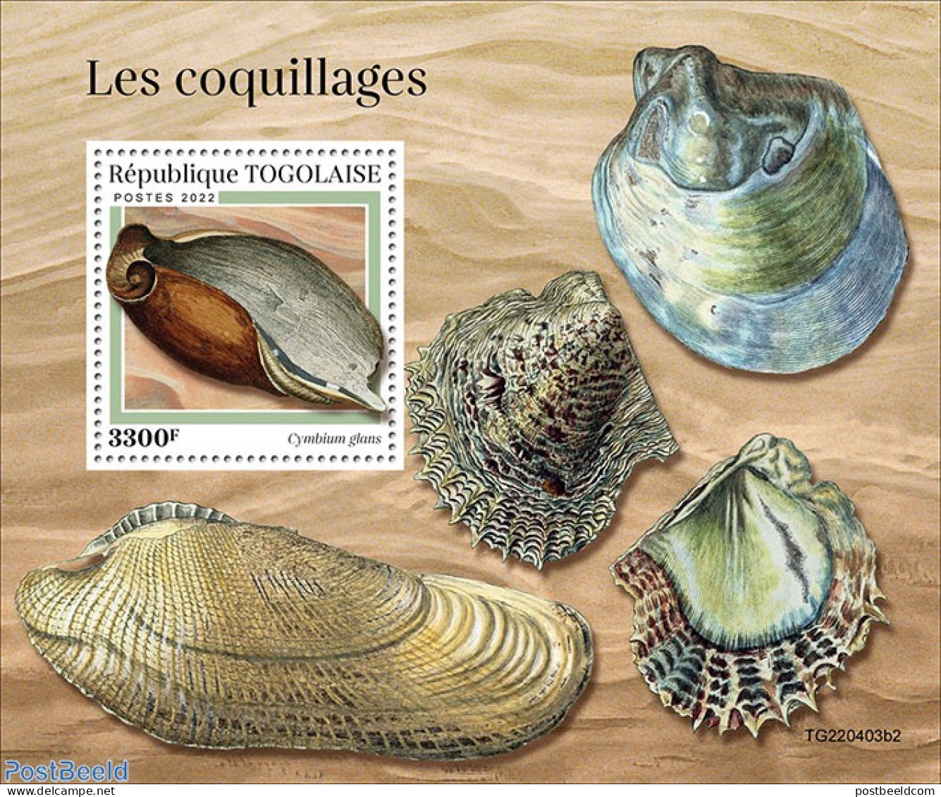 Togo 2022 Shells, Mint NH, Nature - Shells & Crustaceans - Meereswelt