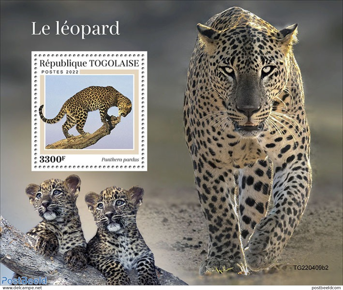 Togo 2022 Leopards, Mint NH, Nature - Cat Family - Togo (1960-...)
