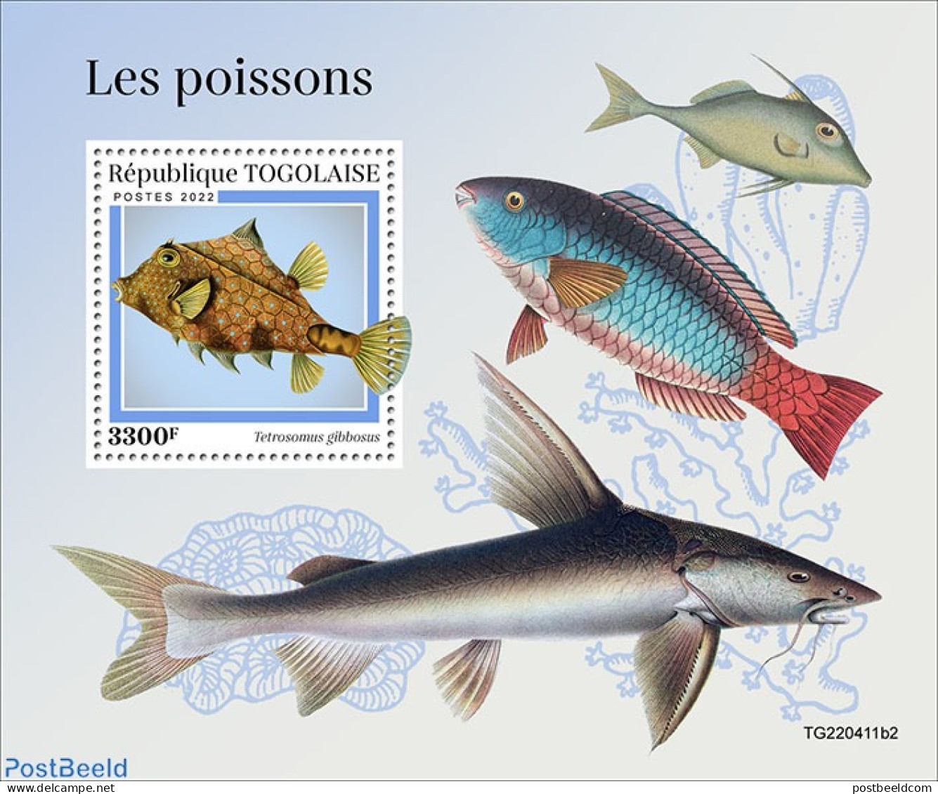 Togo 2022 Fishes, Mint NH, Nature - Fish - Fische