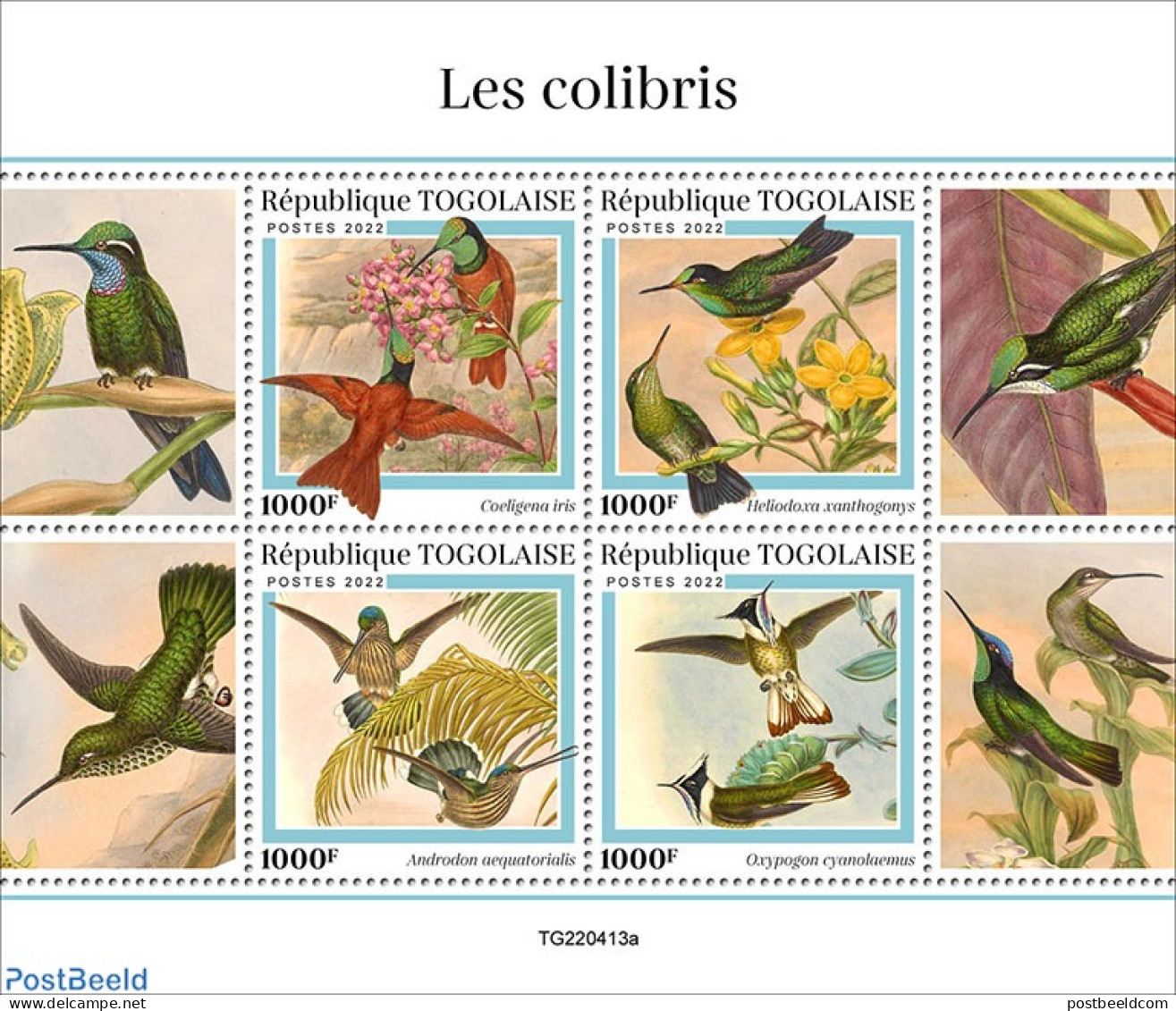 Togo 2022 Hummingbirds, Mint NH, Nature - Hummingbirds - Togo (1960-...)