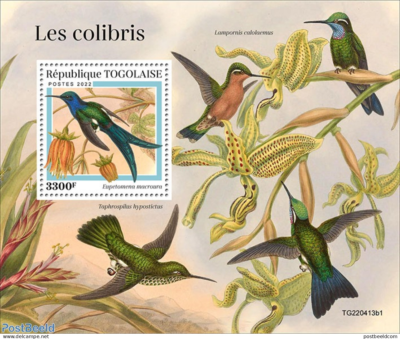 Togo 2022 Hummingbirds, Mint NH, Nature - Hummingbirds - Togo (1960-...)