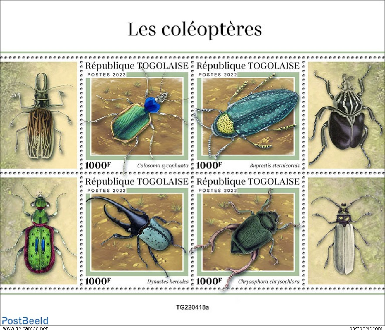 Togo 2022 Beetles, Mint NH, Nature - Insects - Togo (1960-...)