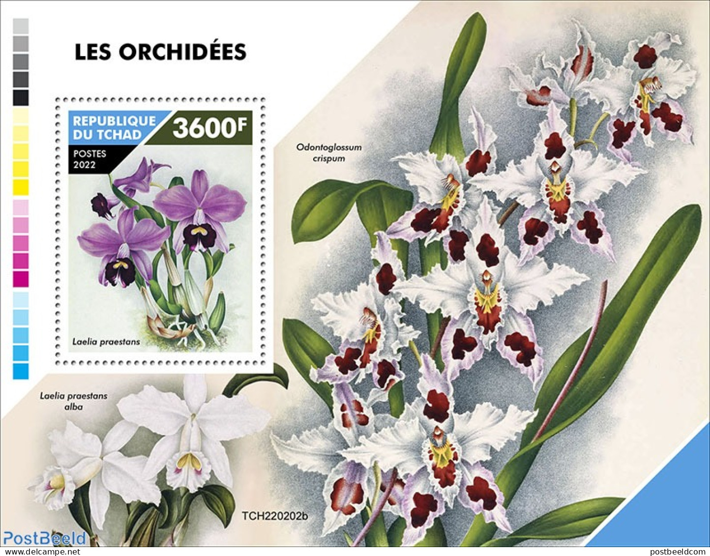 Chad 2022 Orchids, Mint NH, Nature - Flowers & Plants - Orchids - Autres & Non Classés