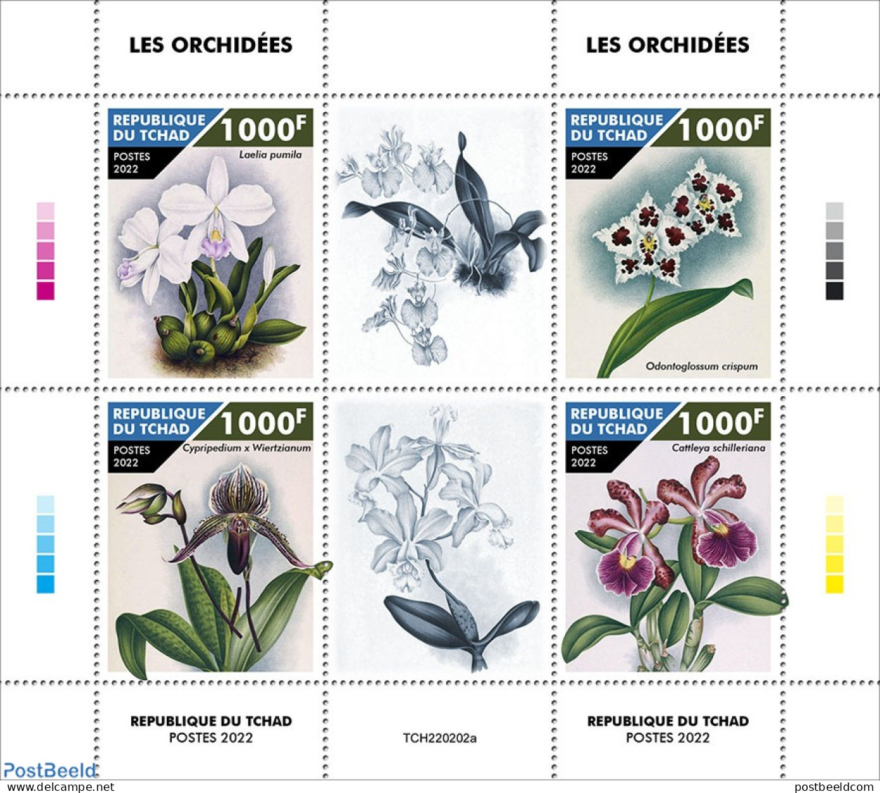 Chad 2022 Orchids, Mint NH, Nature - Flowers & Plants - Orchids - Autres & Non Classés