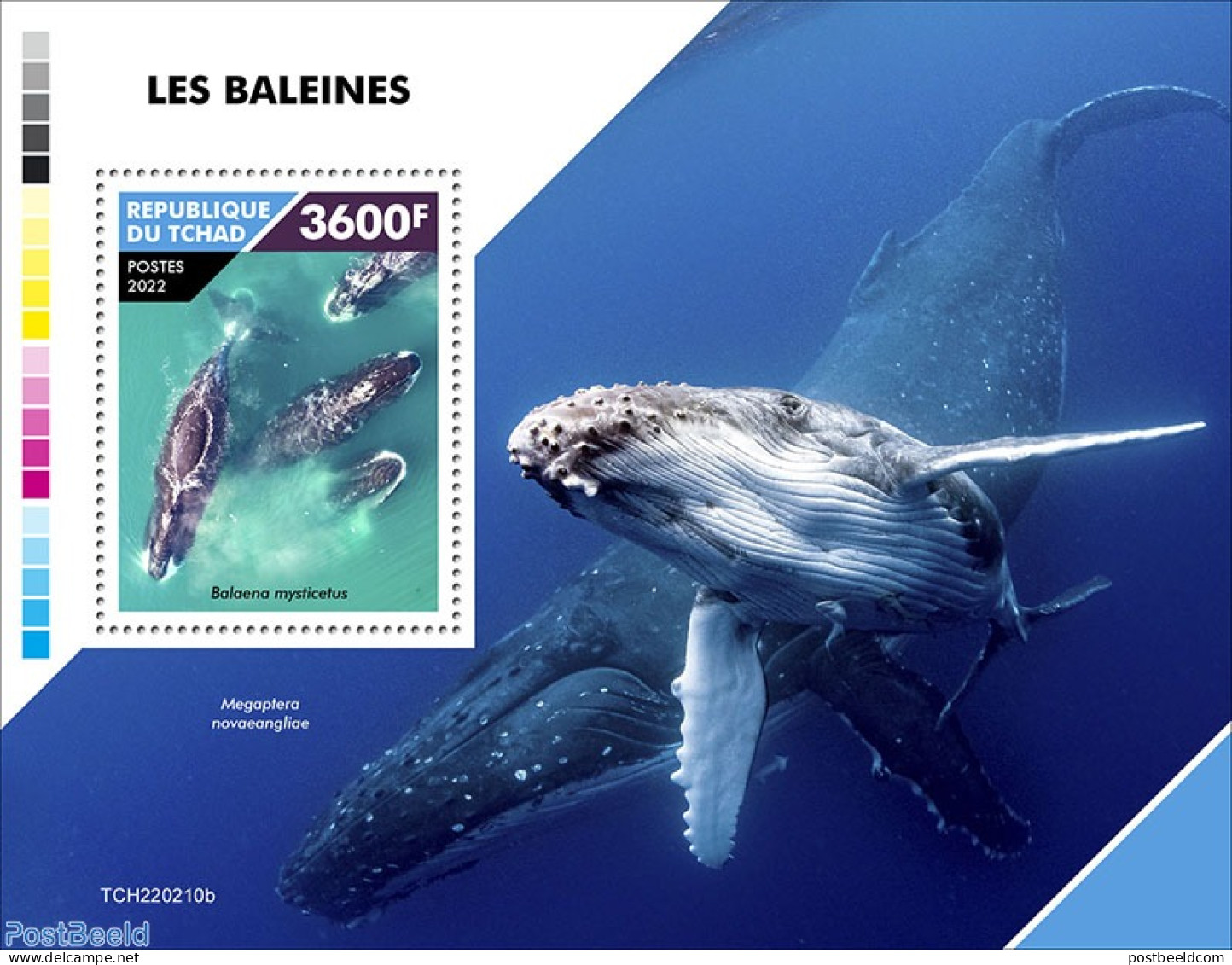 Chad 2022 Whales, Mint NH, Nature - Sea Mammals - Autres & Non Classés