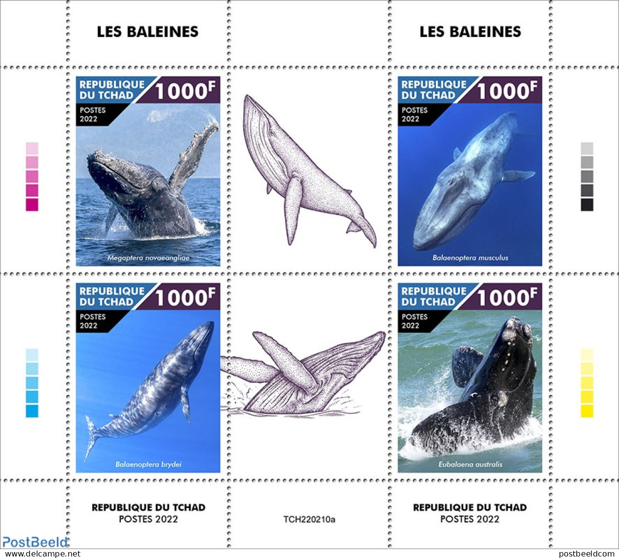 Chad 2022 Whales, Mint NH, Nature - Sea Mammals - Otros & Sin Clasificación