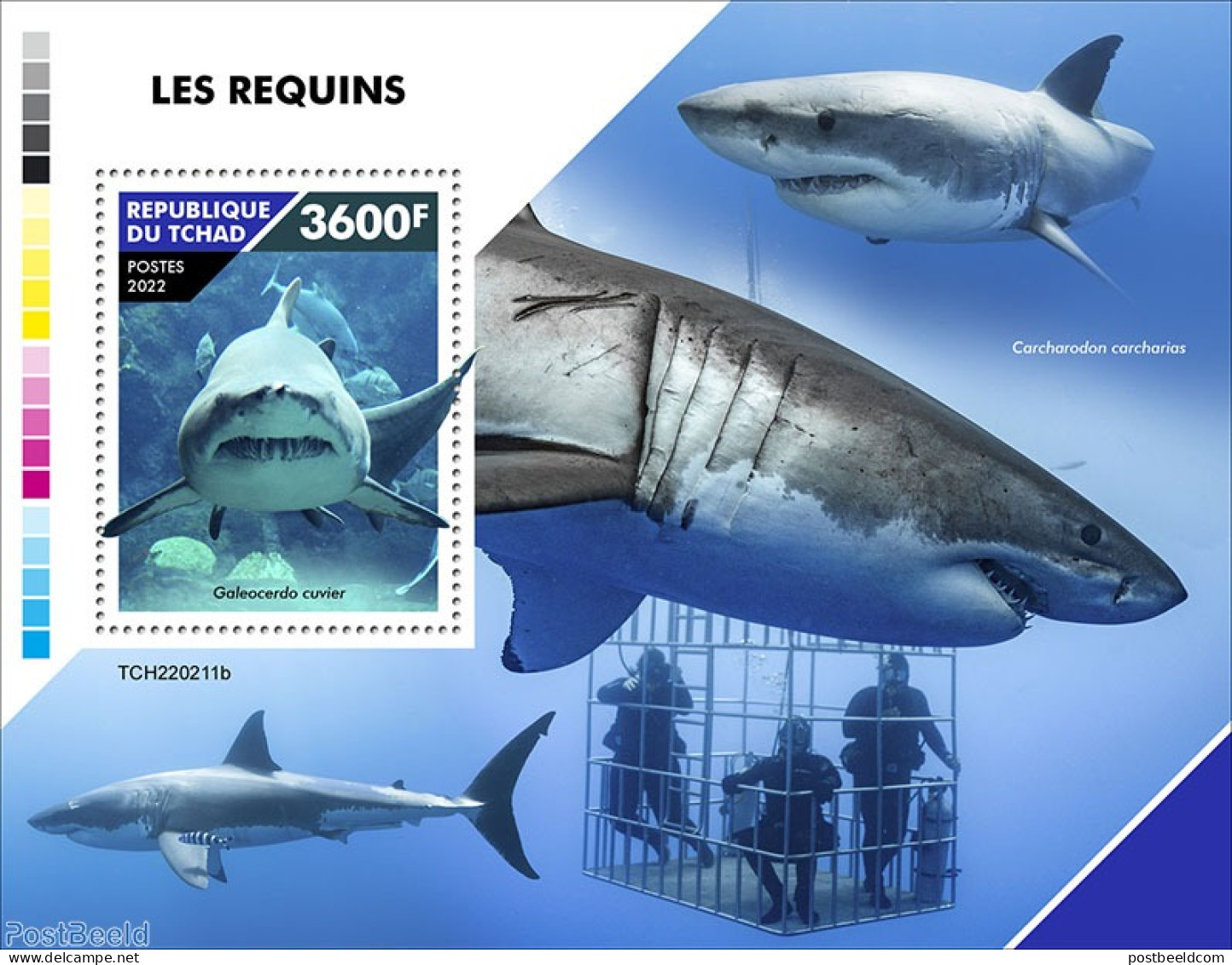 Chad 2022 Sharks, Mint NH, Nature - Sharks - Autres & Non Classés