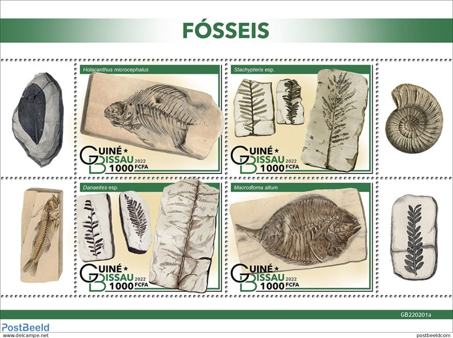 Guinea Bissau 2022 Fossils, Mint NH, Nature - Prehistoric Animals - Prehistory - Vor- U. Frühgeschichte