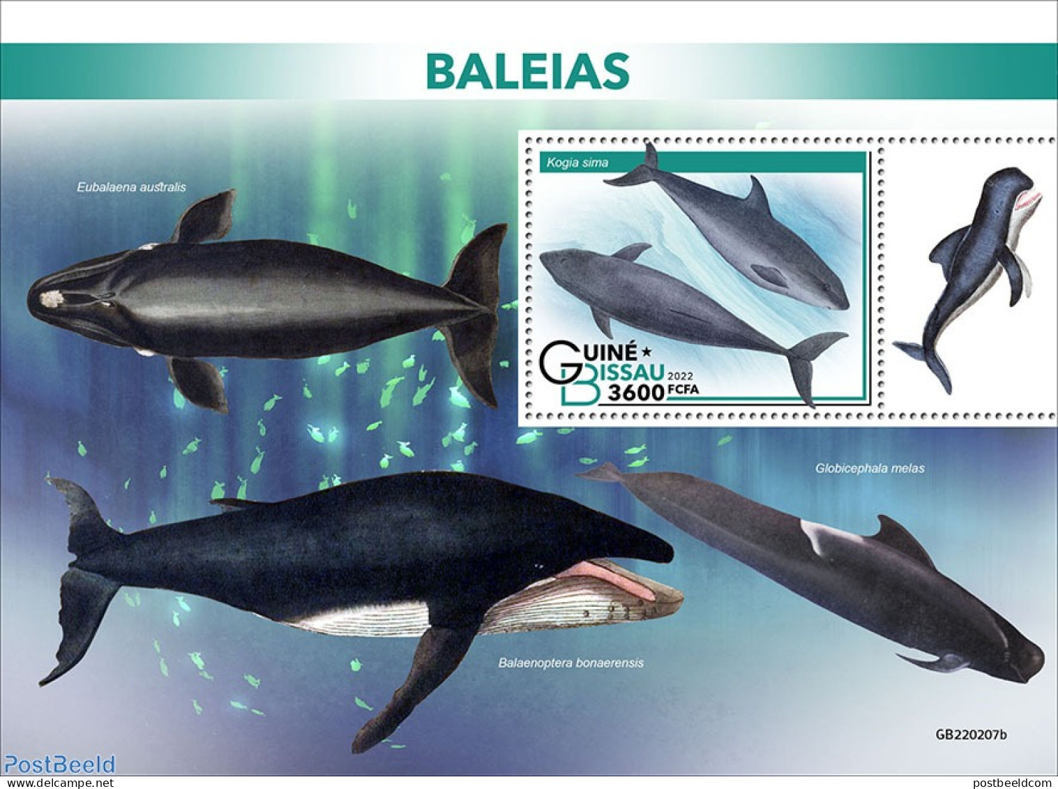 Guinea Bissau 2022 Whales, Mint NH, Nature - Sea Mammals - Guinea-Bissau