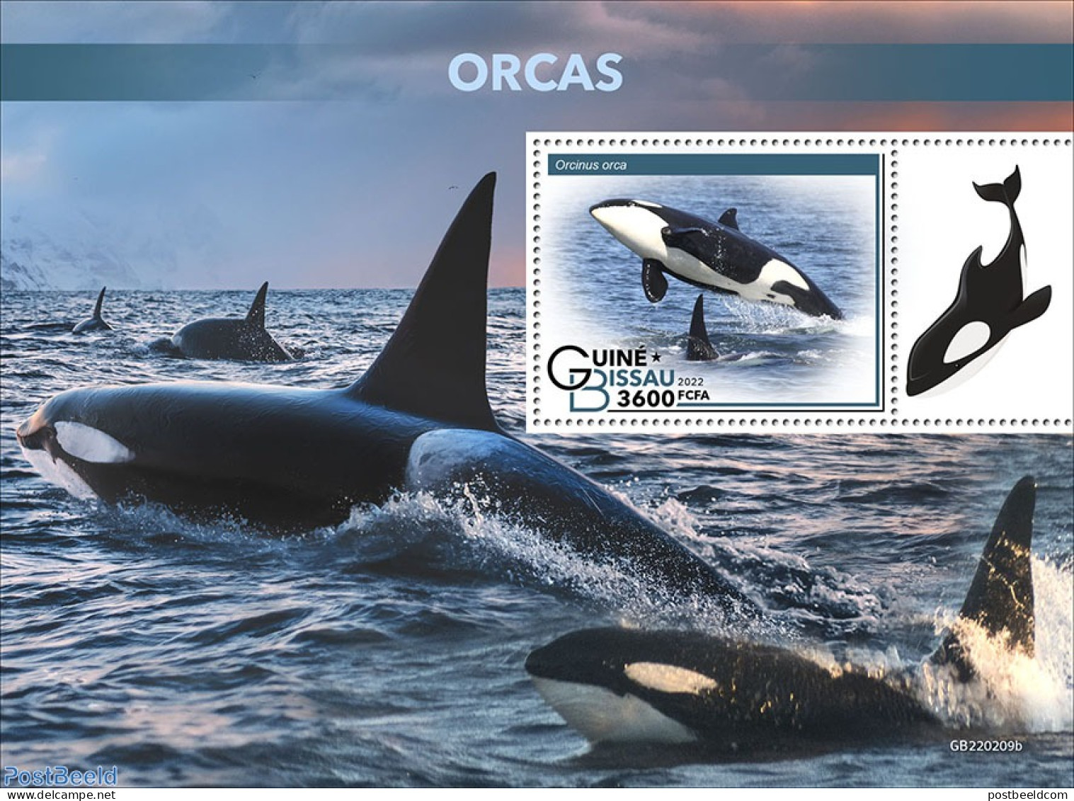 Guinea Bissau 2022 Orcas, Mint NH, Nature - Sea Mammals - Guinea-Bissau