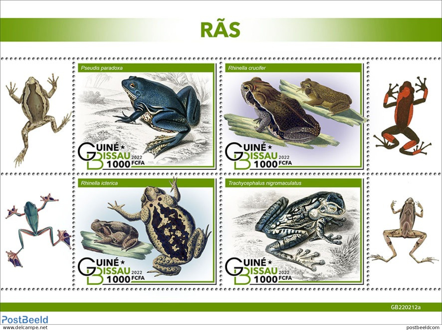 Guinea Bissau 2022 Frogs, Mint NH, Nature - Frogs & Toads - Guinée-Bissau