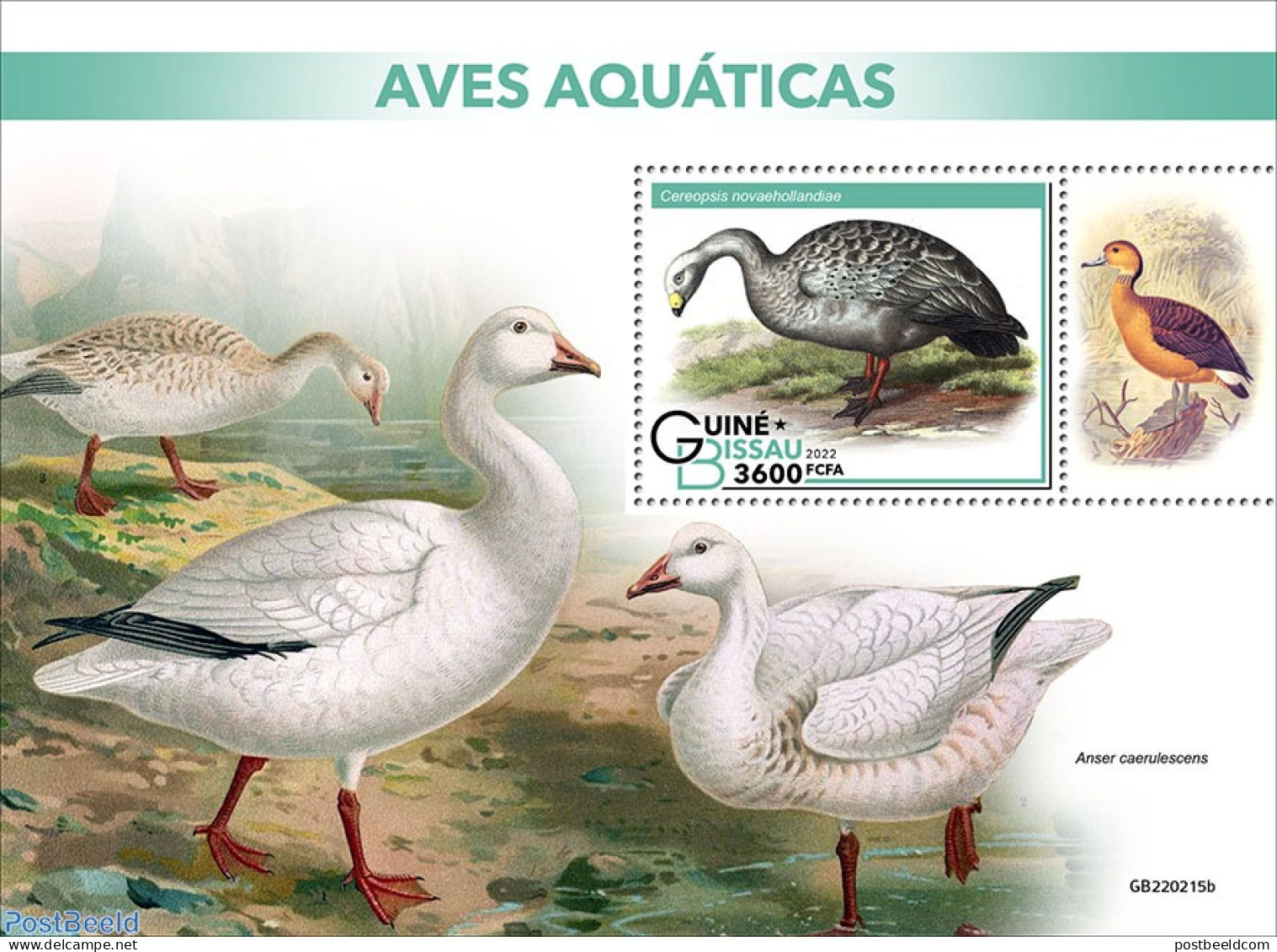 Guinea Bissau 2022 Water Birds, Mint NH, Nature - Birds - Ducks - Guinea-Bissau